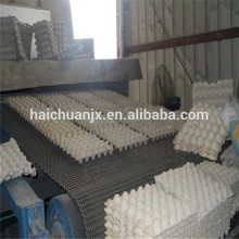 customized pulp molded disposable egg trays molds