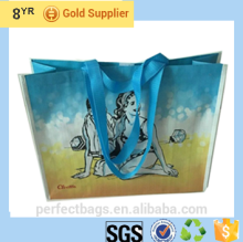 double handles china mattt laminated pp woven shopping bags