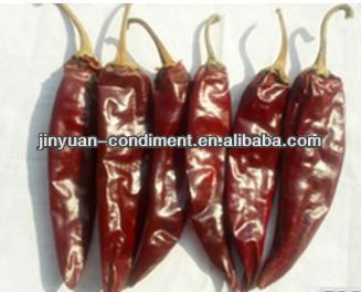 Jinta chili for sale