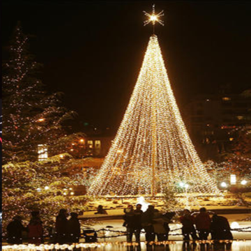 LED Lighted Christmas Tree Sculptures for Outdoor Commercial Flagpoles