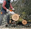 Motosierra de batería de litio de alta potencia de stihl