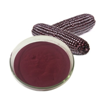 Direct Supply High Purity Purple Corn Extract