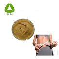 Senna Leaf Extract Powder Sennoside 20%