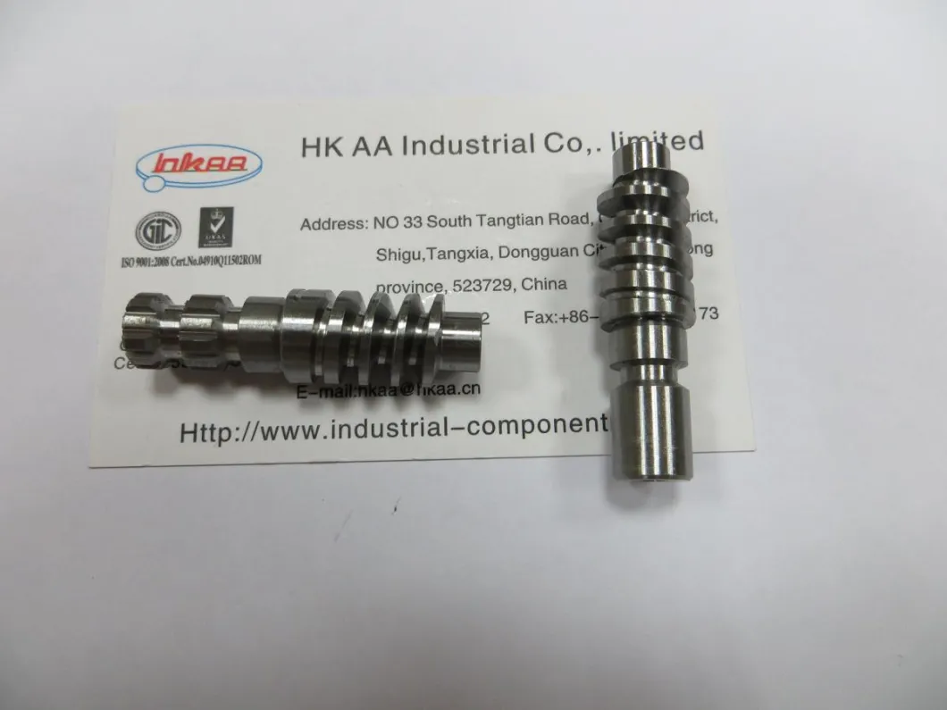 Precision Custom Worm Gear Shaft, Worm Gear Screw Shaft, Long Worm Gear Shaft