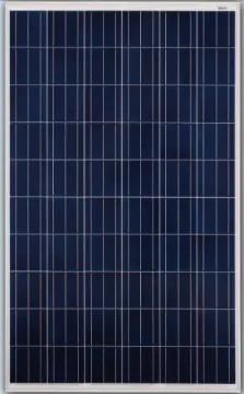 255W Poly Solar Module