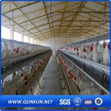 Fabrik Preis Huhn Draht Käfig zum Verkauf