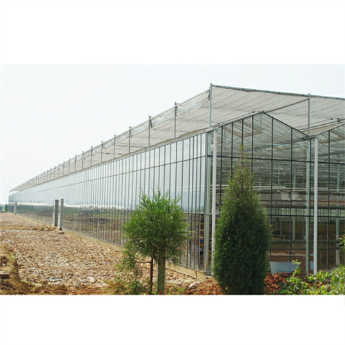 Verde verde di fiori di vetro di Venlo agricolo