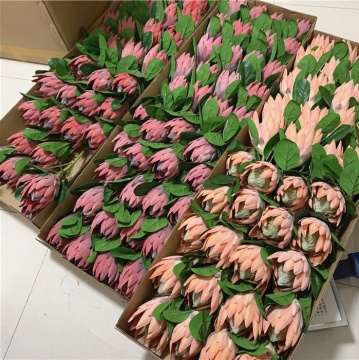 Factory Direct Sale: YAYUN J-1327 70cm High Artificial King Protea Plants