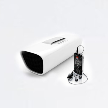 FVW04 Bluetooth synchronous broadcasting function