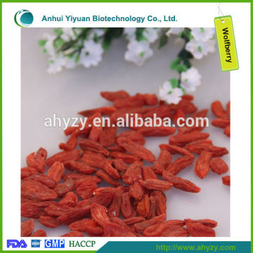 Dried Fruit Lycium Chinense Wolfberry