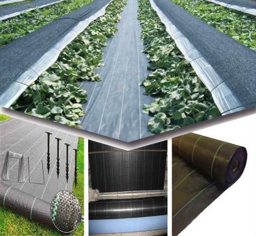 agricultural ground cover net