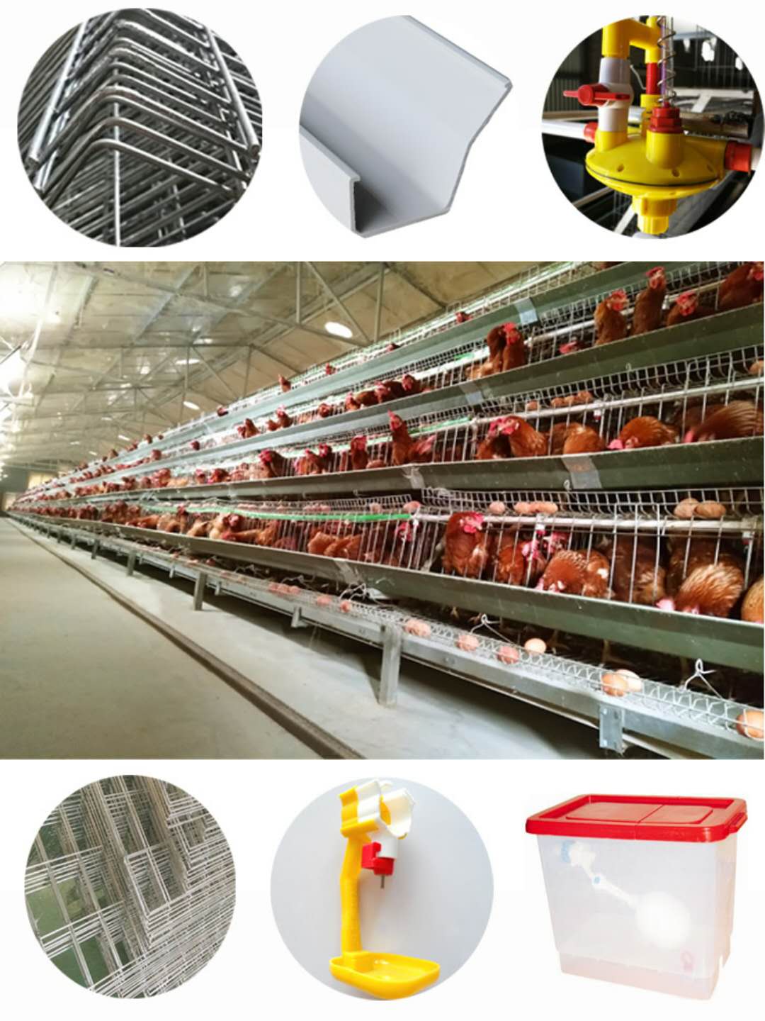 3 Layers poultry cages /chicken cage /layer cage hot galvanized 20 years lifetime chicken battery cage with Auto water system