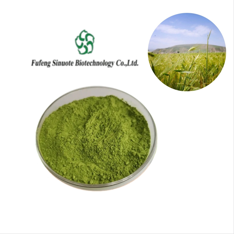 Organic-Highland-Barley-Grass-Powder-for-Nutrient-Rich-Smoothies Organic-Highland-Barley-Grass-Powder-for-Nutrient-Rich-Smoothies