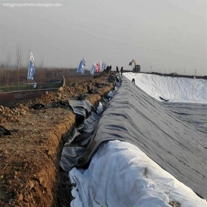 dam liner geomembrane Anchor Gully