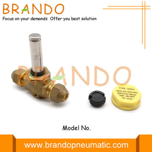 1020/2 1/4 &#39;&#39; 2/2 Way Brass SAE Valve