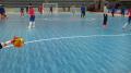 Professionell inomhus Futsal PVC Sport Floor Maple Mönstergolv