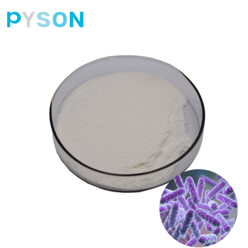 Pyson Supply Bacillus Subtilis Powder 300 พันล้าน CFU/G