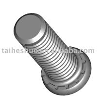 standard fastener