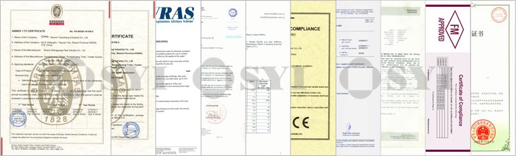 Wcb Gate Valve Standard 100% Water Pressure High Temperature Hydraulic DN40~DN1200 Valve-084 CN;SHX SYI