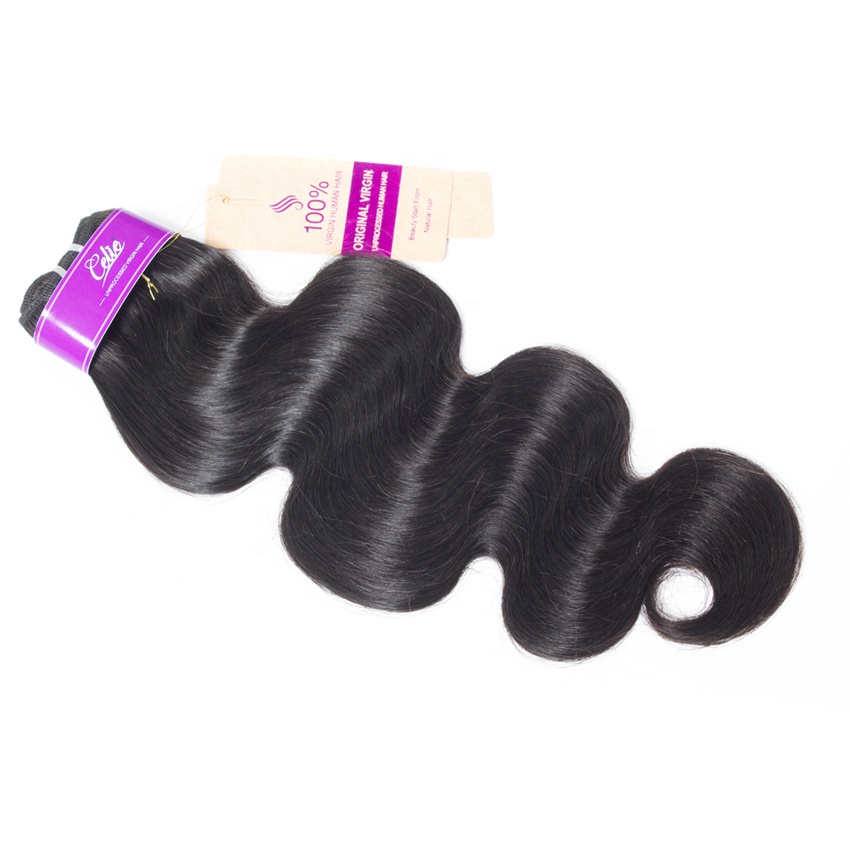 Wholesale Brazilian Virgin hair Vendor  straight Bundles With Lace Closure 4x4 Unprocessed natural hair human hair bundles