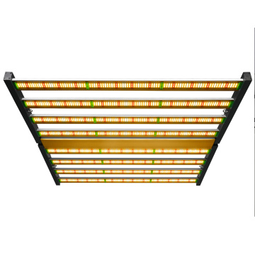 Beste LED -lichten voor planten