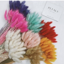 Wholesale Rabbit Tail Grass: Cheap Artificial Plants and Flowers for Sale