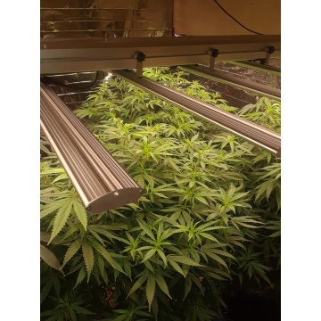 Luces de cultivo LED de 400W luces de barra de flores