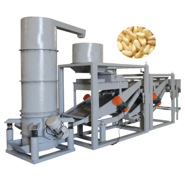 Automated Pakistan Pine Nut and Sunflower Seed Processing Machines