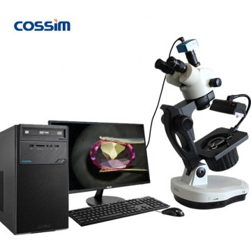 VGM600A Gemological Trinocular Gem Microscope with Ellipse Base