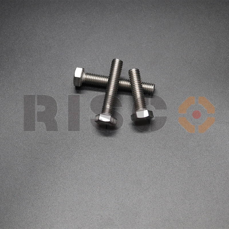 عالي الجودة SS304 Hex Bolt Risco