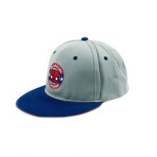 Custom Logo Sublimation Embroidered Baseball Caps