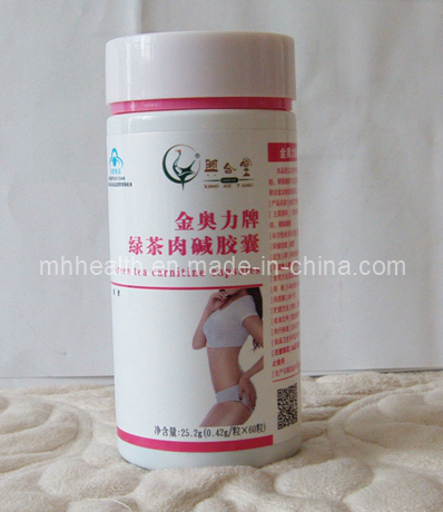 Green Tea Carnitine Capsules (mh-251)