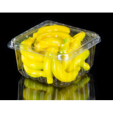 Caja de plástico para envasar frutas frescas