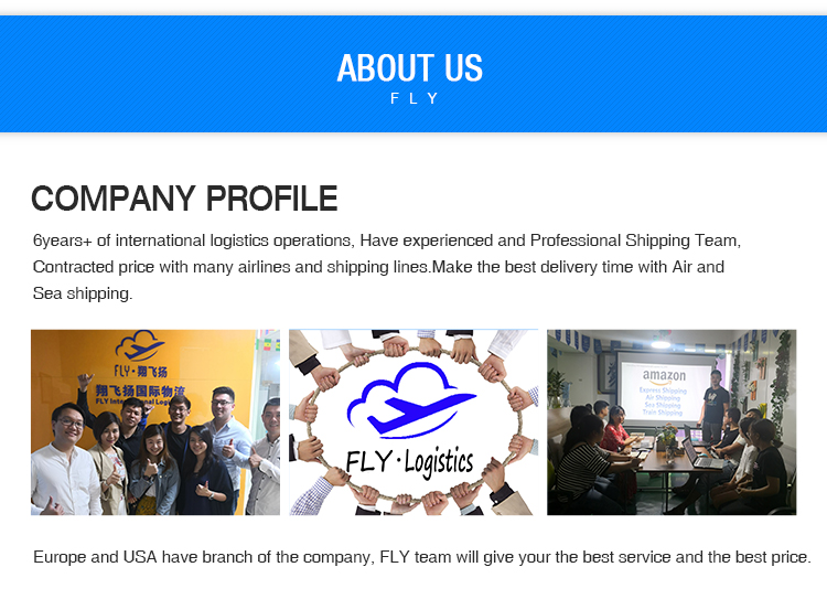 Cheapest DHL/UPS/FederalExpress China to Europe/usa Amazon FBA logistics agent shipping