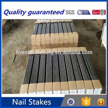 24 inch nail stakes for concrete forms , concrete nail stakes with low price