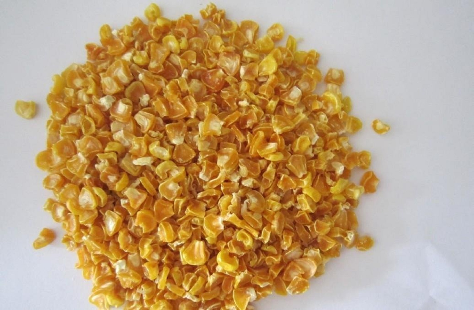 Air-dried Sweet Corn New Crop