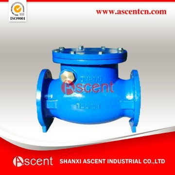 Ductile Iron Swing Check Valves Flange