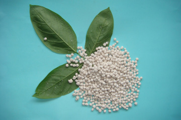 Kieserite Granular / Powder