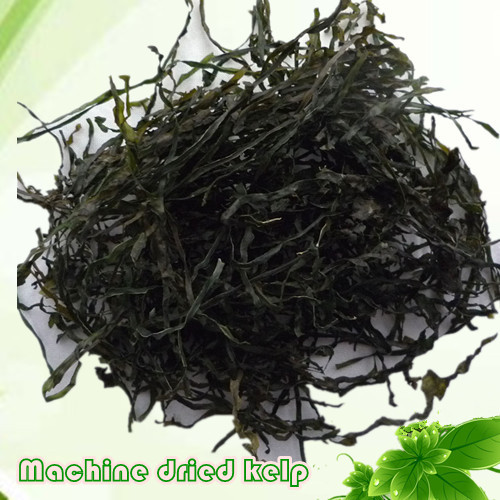 wholesale Machine dried kelp ,food grade