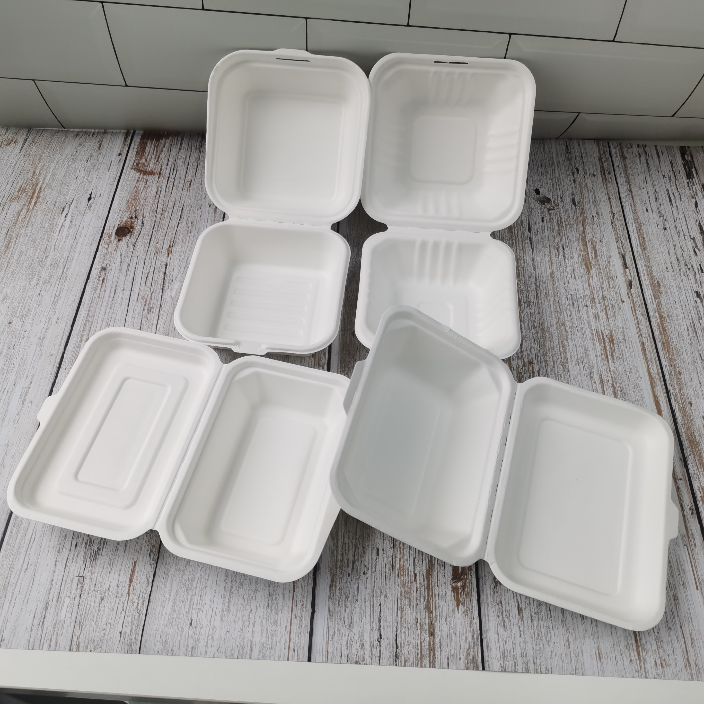 bagasse lid