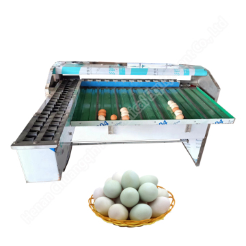 Egg Weighing Machine: Automatic Egg Grader for Sale