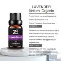 Custom Lavender Essential Oil for Massage Aromatherapy