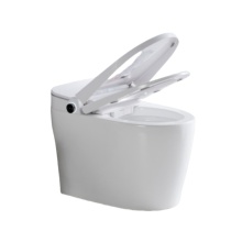 Modern Integrated White Automatic Closestool Deluxe Apartment Bathroom Independent Intelligent Remote Control Ceramic Toilet