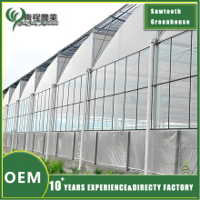 Multi-span Sawtooth Greenhouse With Ex-Shading System