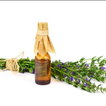 Hyssop Essential Oils จำนวนมาก