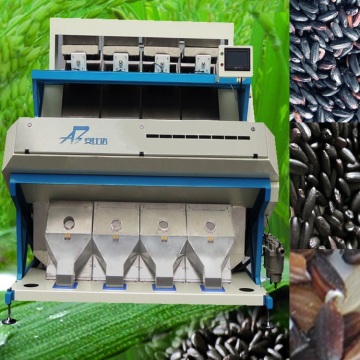 Intelligent Multifunction Rice Sorting Machine for sorting Rice/ Red Rice and Black Rice