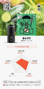 Vaporizers of smoke e-cigarette vape e-ciggarette Kit