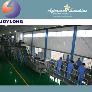 Small automatic salsa tomato paste making processing machine