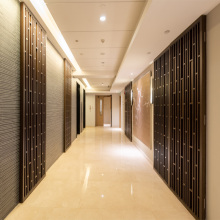 H2003 Hotel Customized Stainless Steel Hanging Wall Screen Partitions