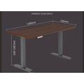 Adjust Height Table Standing Electric Office Desk